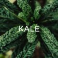 Kale